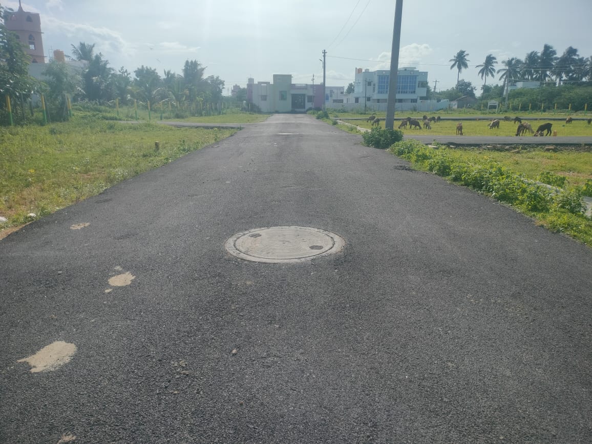 Plot For Resale in Periyamet Chennai  7392482