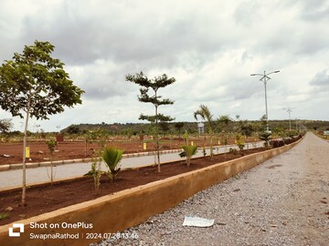 Plot Area in  Plot at Budhera – for Sale