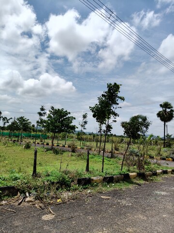 Plot Area in  Plot at Kurmidda – for Sale