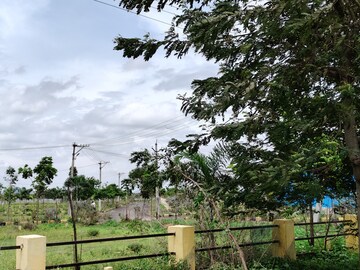 Plot Area in  Plot at Kurmidda – for Sale