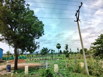 Plot Area in  Plot at Kurmidda – for Sale