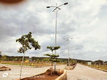 Plot Area in  Plot at Budhera – for Sale
