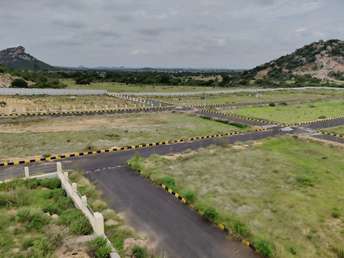 Plot For Resale in Amangal Hyderabad  7392743