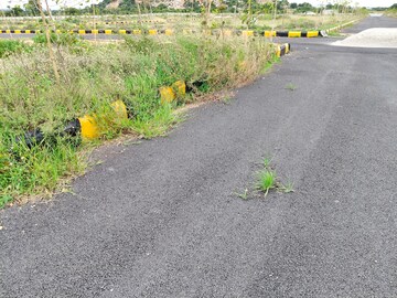 Plot Area in  Plot at Amangal – for Sale