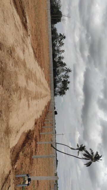  Plot For Sale in Medchal