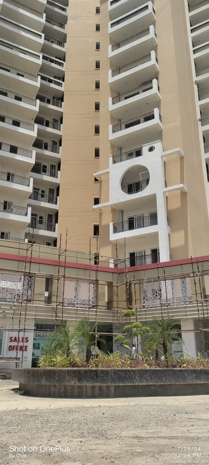 3 BHK Apartment For Resale in Sector 16 Noida  7393257