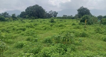  Plot For Sale in Karjat