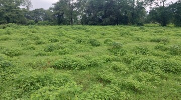 Plot Area in  Plot at Karjat – for Sale