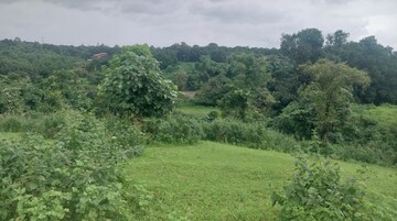 Plot Area in  Plot at Karjat – for Sale