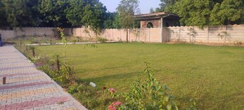 Plot For Resale in Jewar Greater Noida  7392547