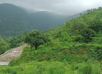  Plot – Garden View at Raipur Road - for Sale