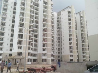 2 BHK Apartment For Resale in NK Sharma Savitry Greens Lohgarh Zirakpur  7393852