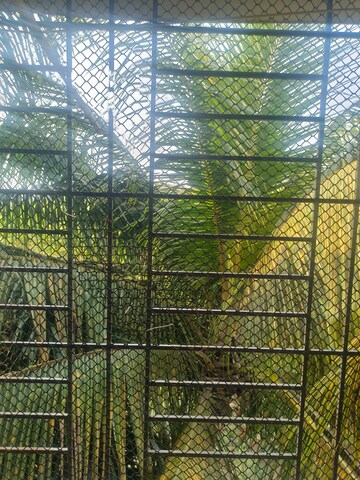 Balcony in 2 BHK Apartment at Kumar Harshvardhan CHS, Andheri West – for Sale