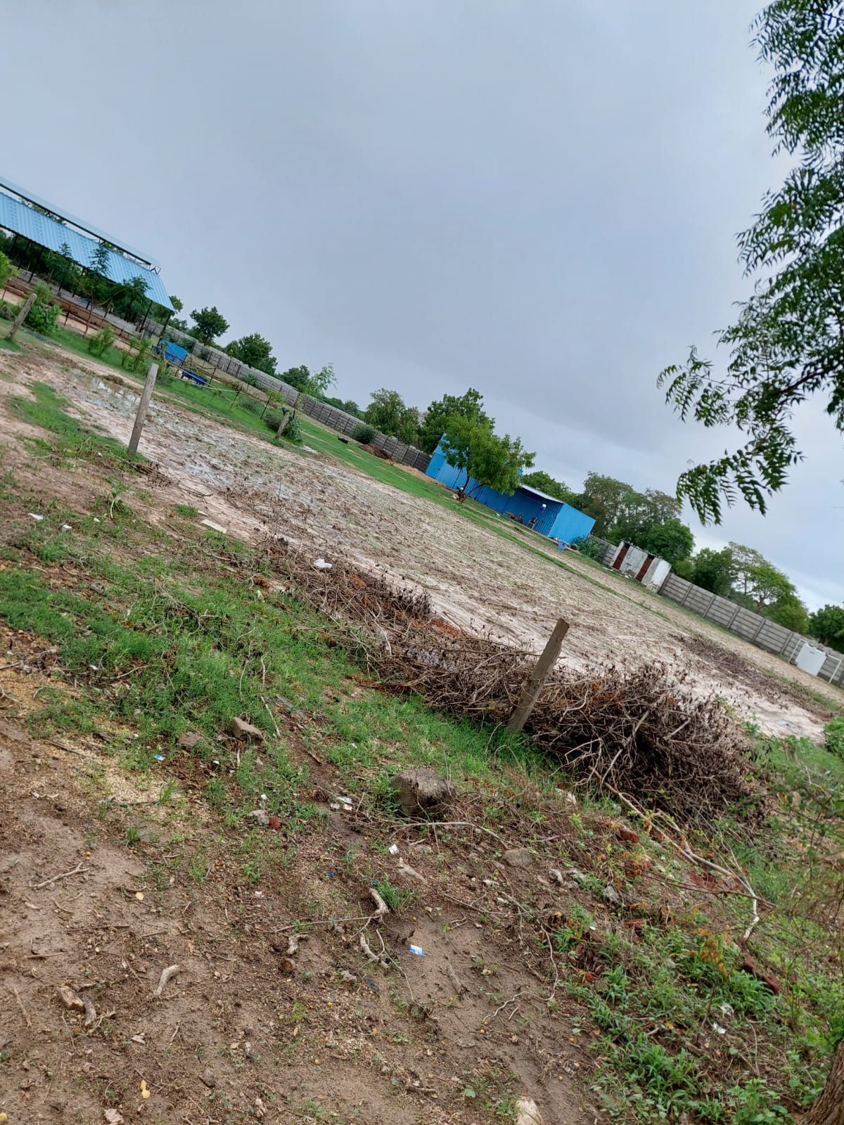 Commercial Land 1600 Sq.Yd. For Resale in Ognaj Ahmedabad  7394673