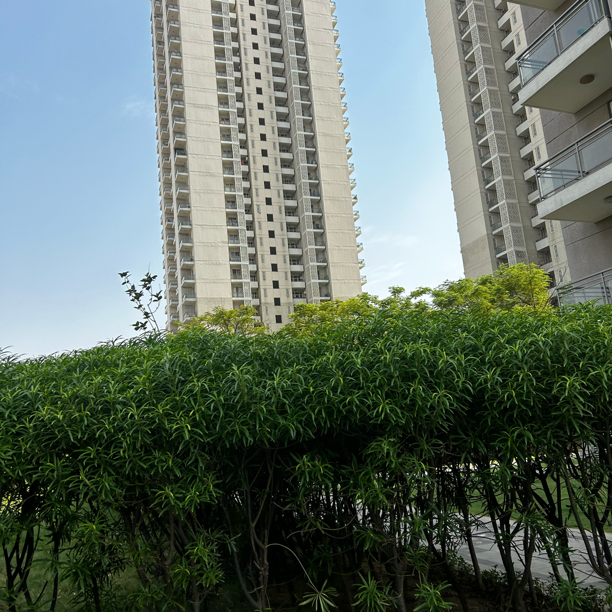 3.5 BHK Apartment For Rent in Raheja Atlantis II Sector 32a Gurgaon  7394968