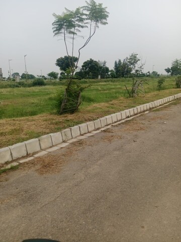 Plot Area in  Plot at Altus Prime, North Mullanpur – for Sale