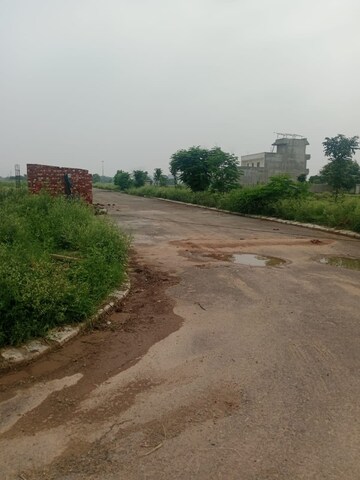 Plot Area in  Plot at Ambika Florence Park, North Mullanpur – for Sale