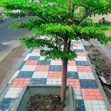   Plot at Nandikandi – for Sale