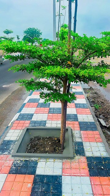  Plot – Nearby View at Nandikandi - for Sale