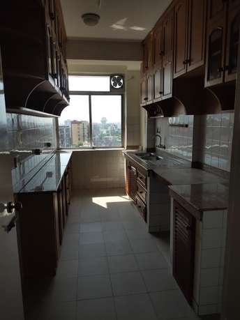 3 BHK Apartment For Rent in DLF Richmond Park Sector 43 Gurgaon  7395216