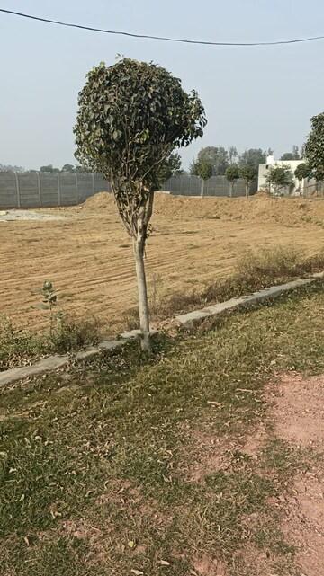 Plot Area in  Plot at Fortune The Highway Orchards, Burgula Village – for Sale