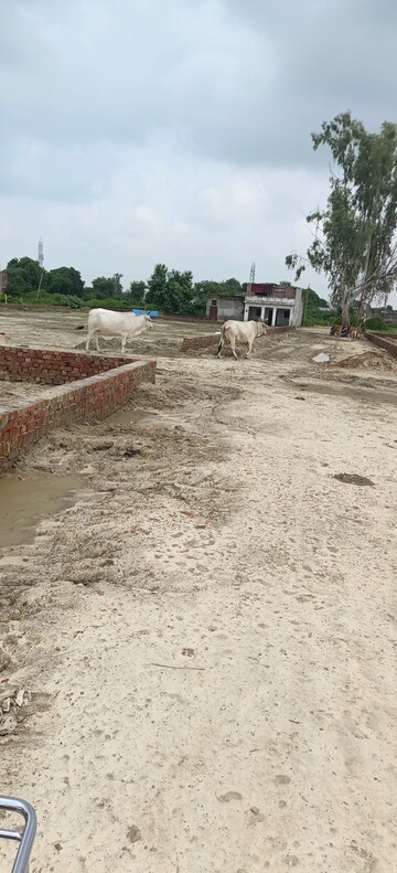 Plot Area in  Plot at Sultanpur Road – for Sale