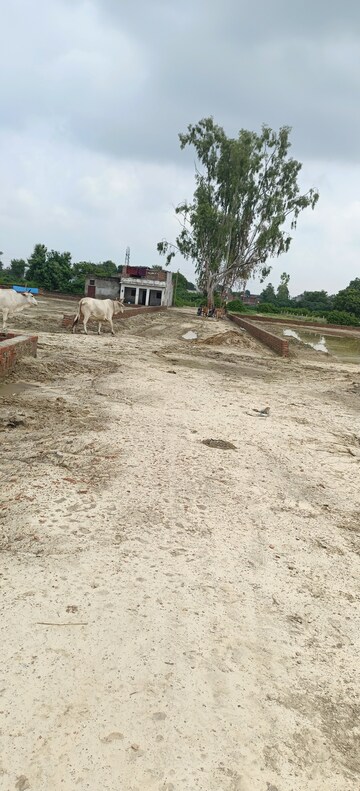 Plot Area in  Plot at Sultanpur Road – for Sale
