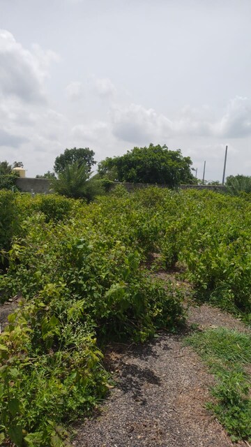  Plot – Exterior View View at Castel Woods, Jigani - for Sale