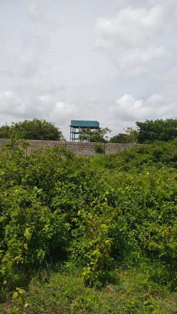  Plot – Exterior View View at Castel Woods, Jigani - for Sale