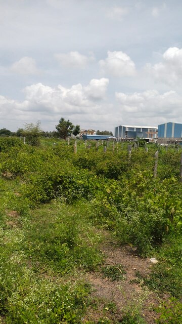 Plot Area in  Plot at Castel Woods, Jigani – for Sale