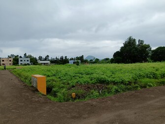 Plot For Resale in Adgaon Nashik  7396186