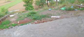 Plot For Resale in Jhalwa Allahabad  7396493