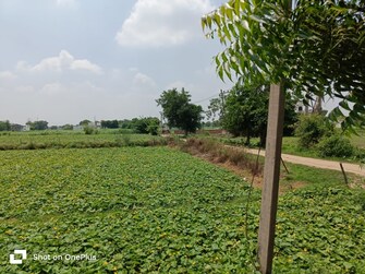 Plot For Resale in Tigaon Faridabad  7396494