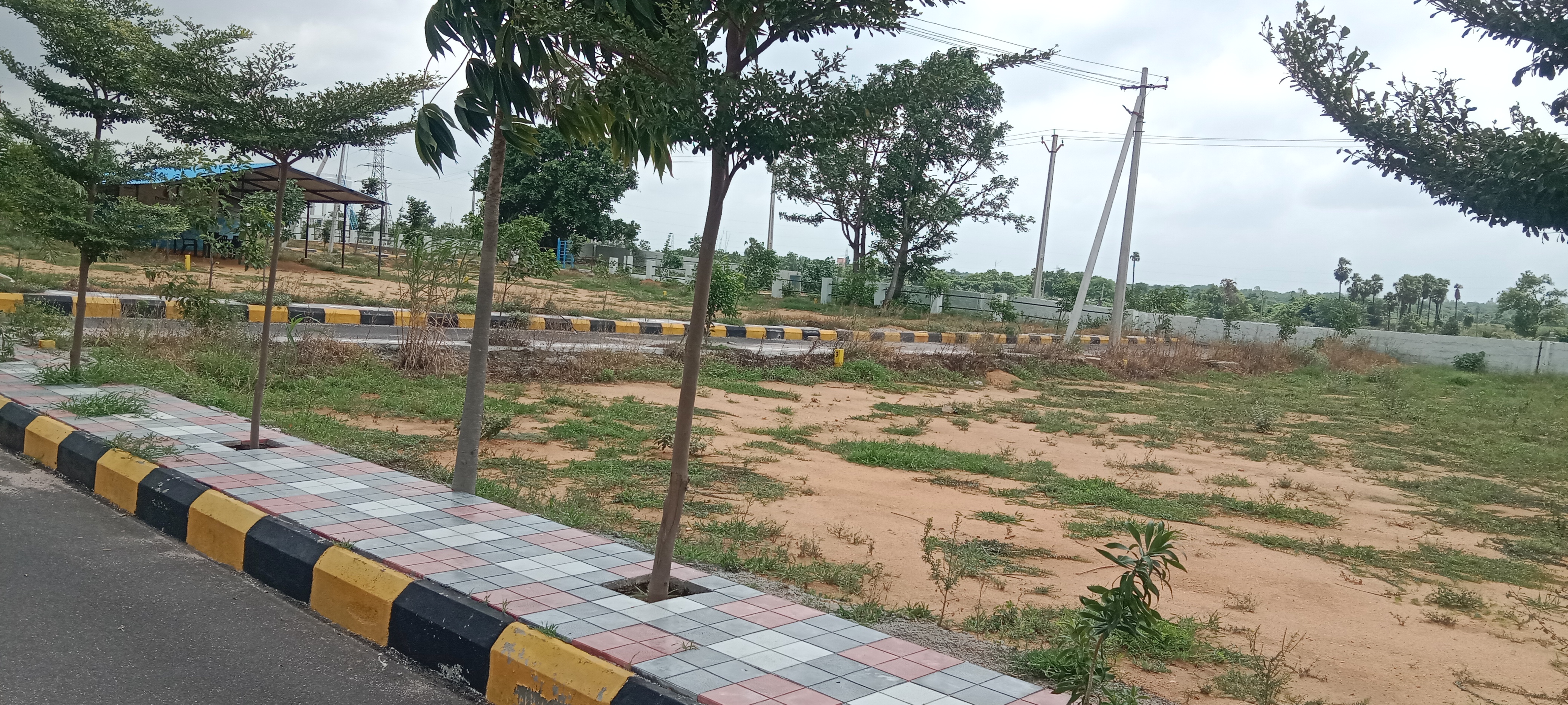 Plot For Resale in Vivekananda Nagar Hyderabad  7396582