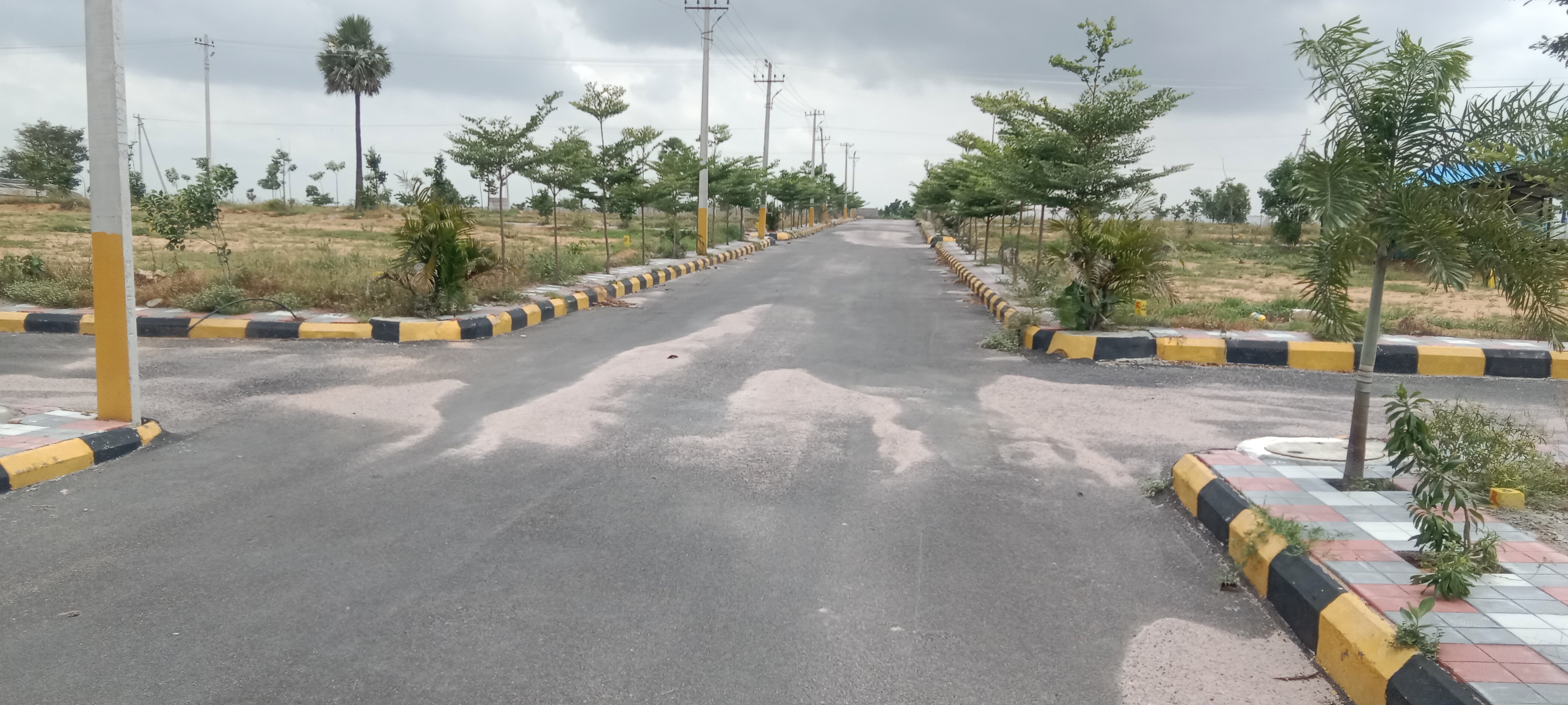 Plot For Resale in Chanda Nagar Hyderabad  7396900