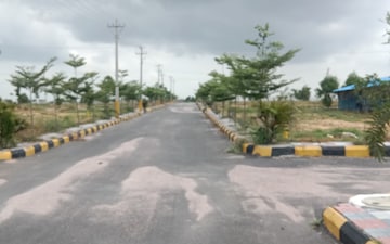 Plot For Sale in Ramchandraguda