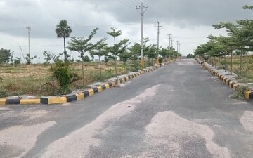 Plot For Sale in Peeranchuruvu