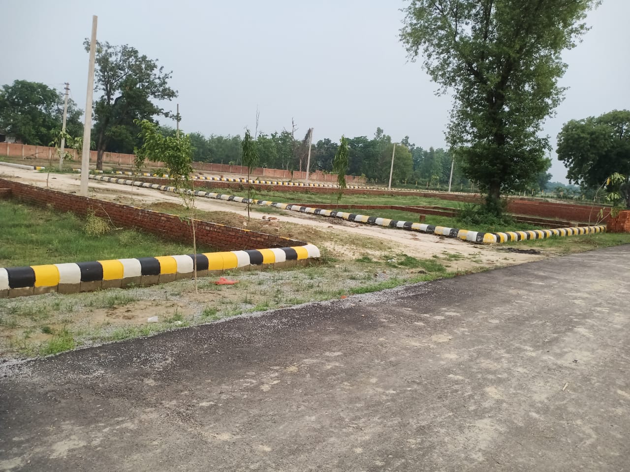 Plot For Resale in Mohanlalganj Lucknow  7397897