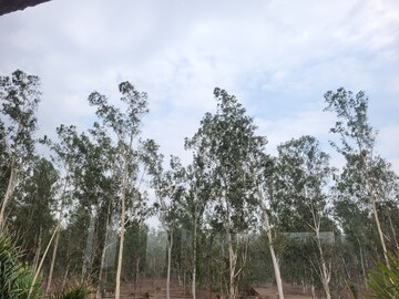 Plot Area in  Plot at Nardaha – for Sale