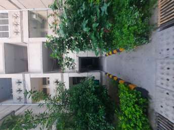 2 BHK Apartment For Rent in IRWO Palm Court Apartments Gn Sector Alpha 1 Greater Noida  7398496