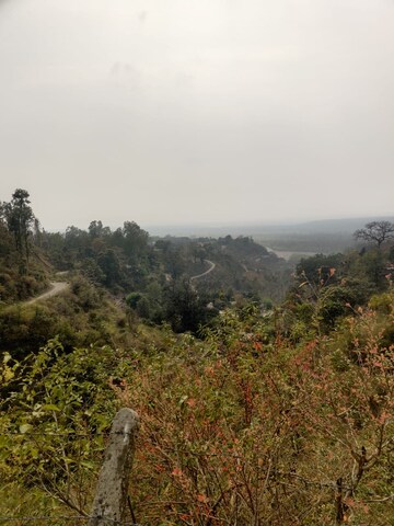 Plot Area in  Plot at Bhogpur – for Sale