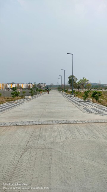  Plot For Sale in Mauli 22, Pipla