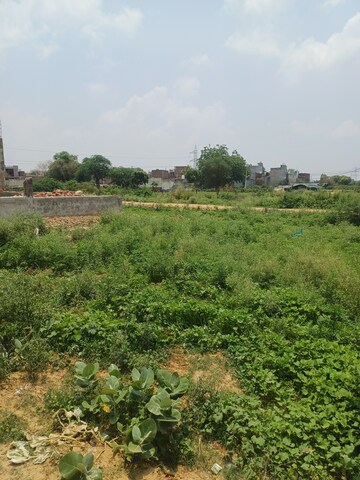  Plot – Garden View at Tilpat - for Sale