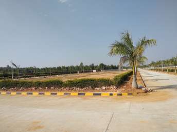 Plot For Resale in Xotic Anthea Chikka Tirupathi Bangalore  7398719