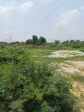  Plot – Garden View at Tilpat - for Sale