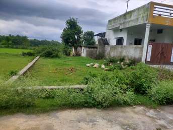 Plot For Resale in Dhaulas  Dehradun  7398945