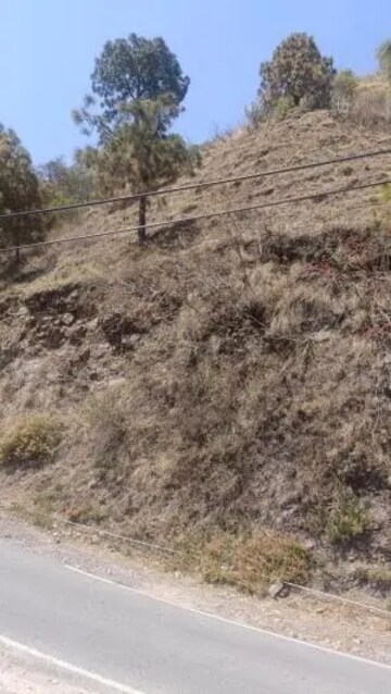 Plot For Sale in Ambala Highway