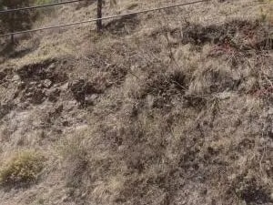 Plot For Sale in Ambala Highway