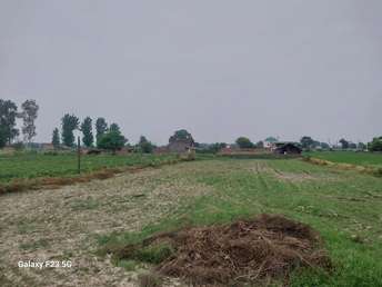 Plot For Resale in Agwanpur Faridabad  7399111