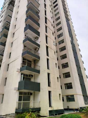 3 BHK Apartment For Resale in AVS Orchard Sector 77 Noida  7399159